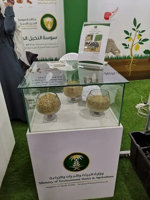 جناح وزارة البيئة بالجنادرية 33 يستقبل الزوار بفعاليات تثقيفية عن الغطاء النباتي والزراعة المائية