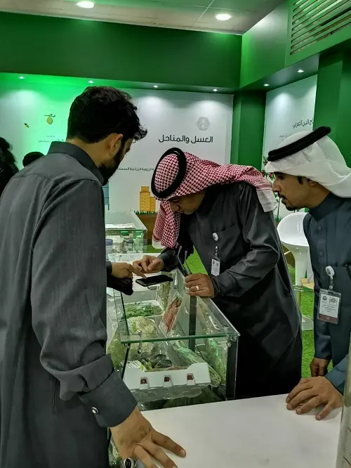 جناح وزارة البيئة بالجنادرية 33 يستقبل الزوار بفعاليات تثقيفية عن الغطاء النباتي والزراعة المائية