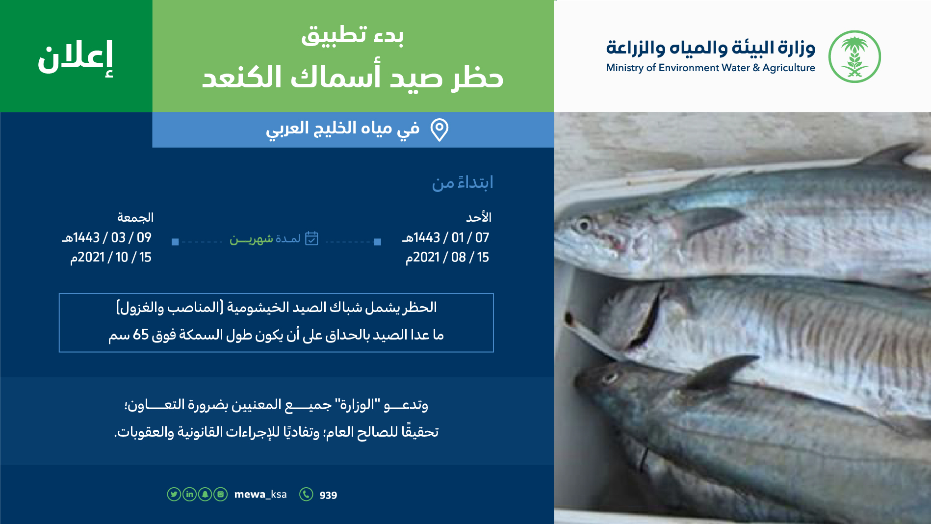 إعلان حظر سمك الكنعد في سواحل الخليج العربي-01.jpg